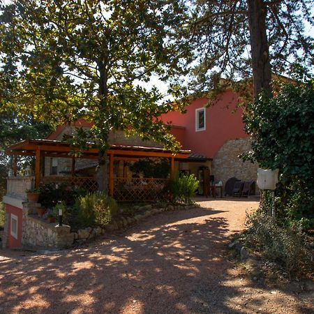 Agriturismo Terre Della Rinascita Castelnuovo della Misericordia Exteriér fotografie