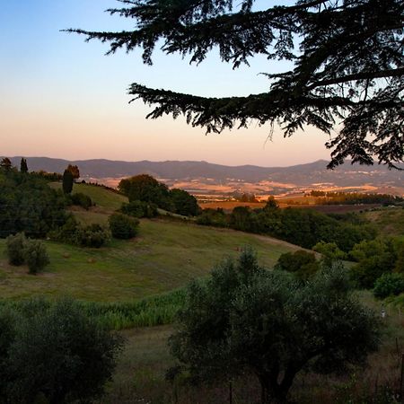 Agriturismo Terre Della Rinascita Castelnuovo della Misericordia Exteriér fotografie