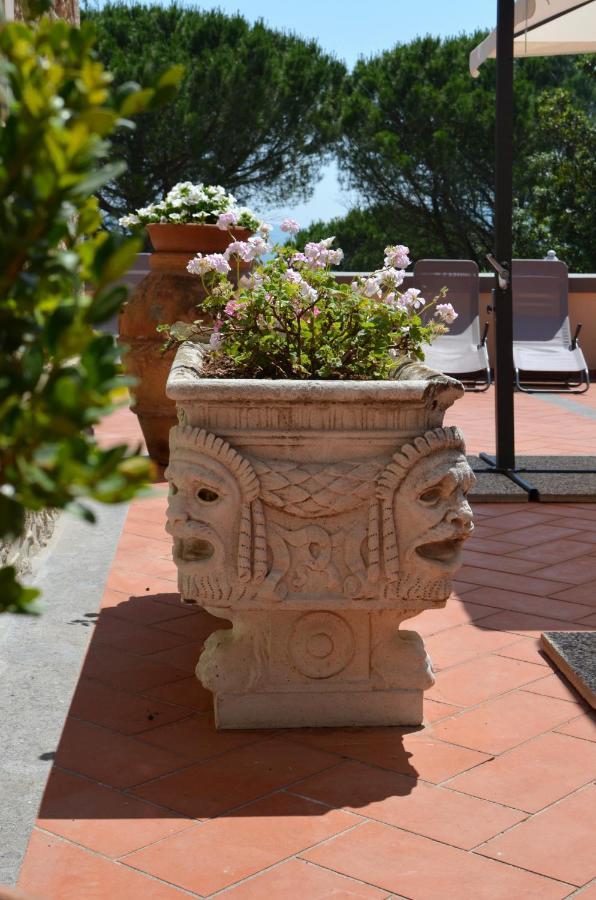 Agriturismo Terre Della Rinascita Castelnuovo della Misericordia Exteriér fotografie