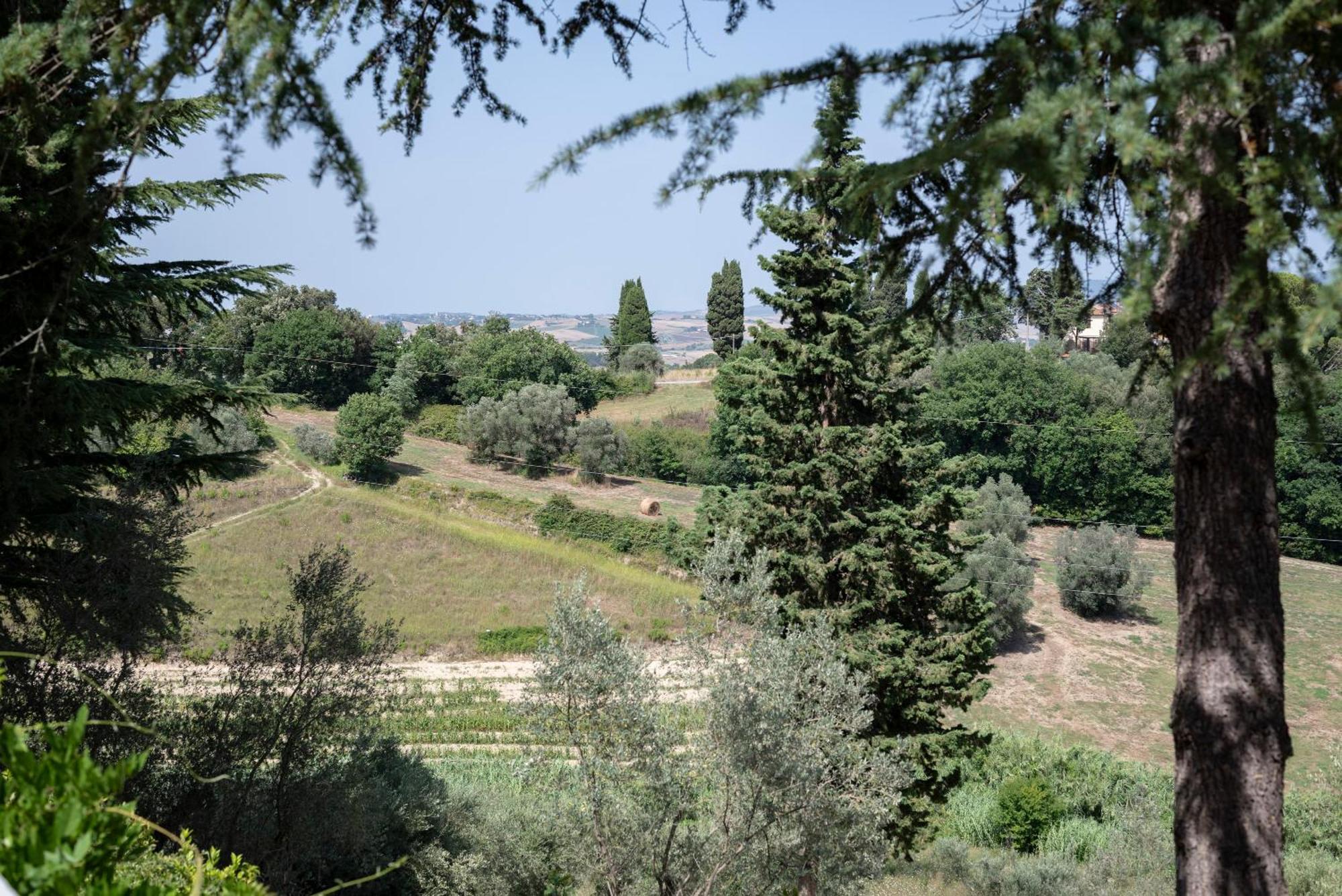 Agriturismo Terre Della Rinascita Castelnuovo della Misericordia Exteriér fotografie