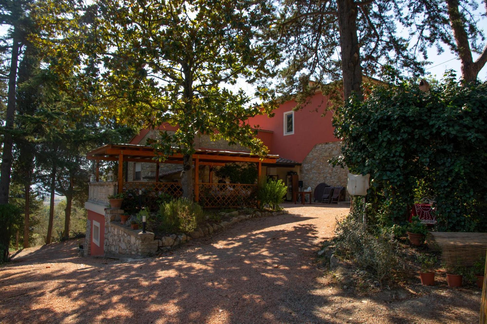 Agriturismo Terre Della Rinascita Castelnuovo della Misericordia Exteriér fotografie