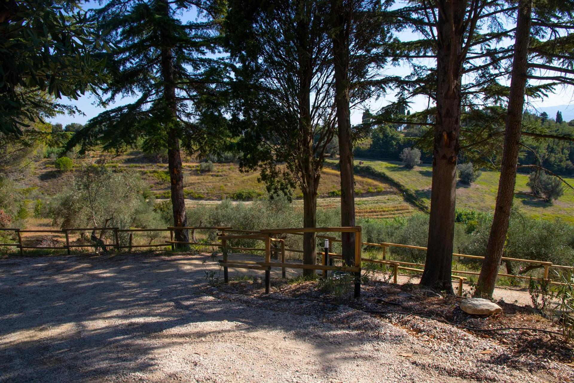 Agriturismo Terre Della Rinascita Castelnuovo della Misericordia Exteriér fotografie